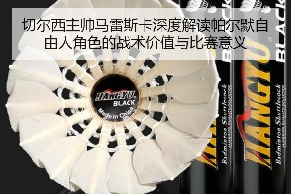切尔西主帅马雷斯卡深度解读帕尔默自由人角色的战术价值与比赛意义（kaiyun）